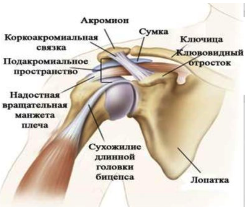 Повреждение вращательной манжеты плечевого сустава